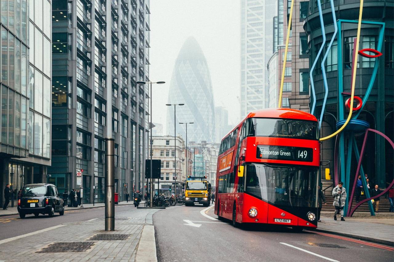 Everything You Wanted to Know About mega city's